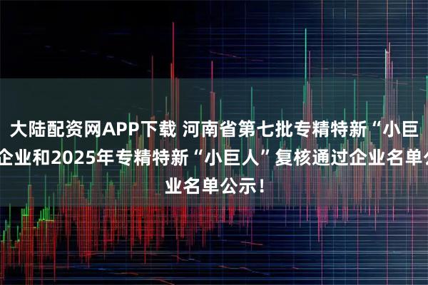 大陆配资网APP下载 河南省第七批专精特新“小巨人”企业和2025年专精特新“小巨人”复核通过企业名单公示！