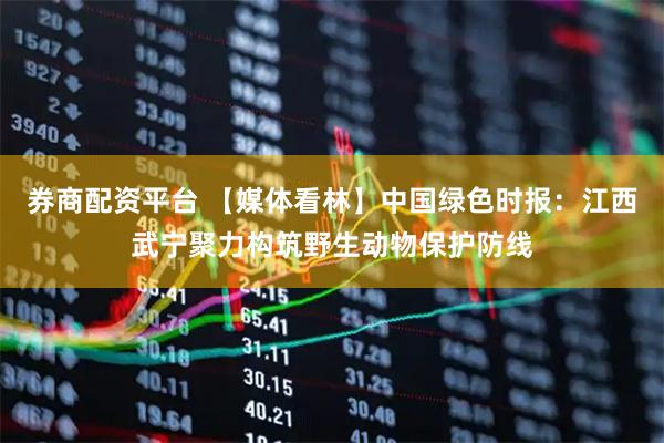 券商配资平台 【媒体看林】中国绿色时报：江西武宁聚力构筑野生动物保护防线