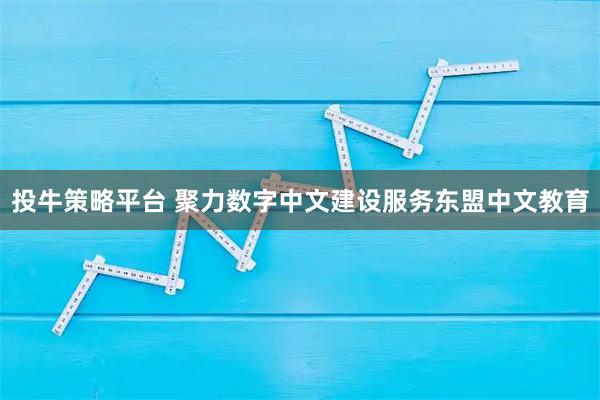 投牛策略平台 聚力数字中文建设服务东盟中文教育